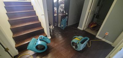 Storm Restoration Service in Phoenix, AZ